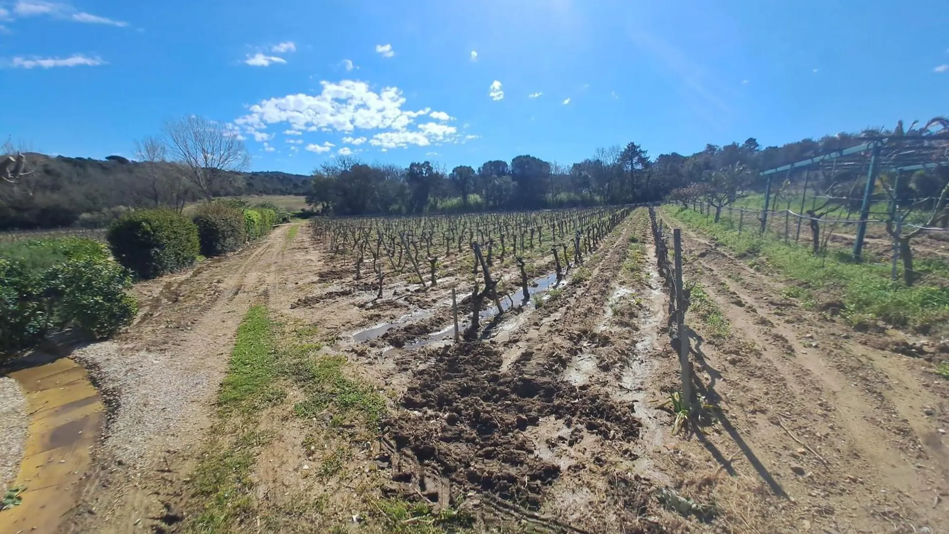 La Rouillere 1 - Authenticite Maison Jumelee 4 Personnes Au Coeur Des Vignes 拉马蒂埃勒 0*,  法国