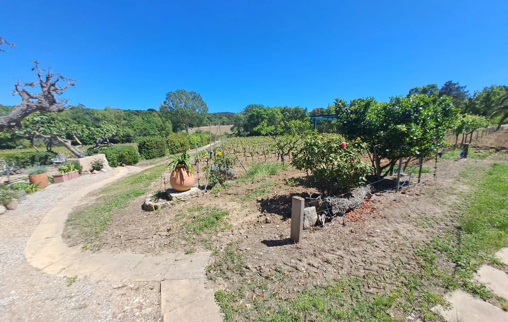 Villa La Rouillere 1 - Authenticite Maison Jumelee 4 Personnes Au Coeur Des Vignes Ramatuelle